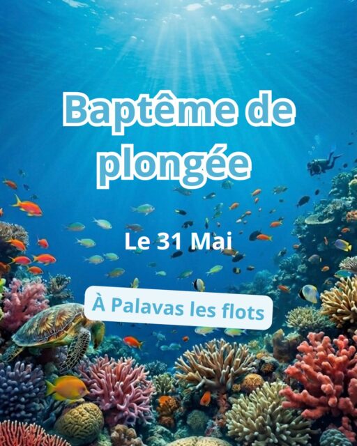 Envie de tenté la plongée sous-marine ?
Le BDE te propose de participer à une sortie baptême de plongée sous-marine 🤿
Le 31 Mai à Palavas les flots !
Plus que 4 places !
- 1 place le matin, rdv à 8h30
- 3 places l’après midi, rdv à 12h
Petit + pique nique canadien
Tu veux participer ? Envoie nous un dm ! 😉
#bde #bdemontpellier #baptemeplongée #plongersousmarine